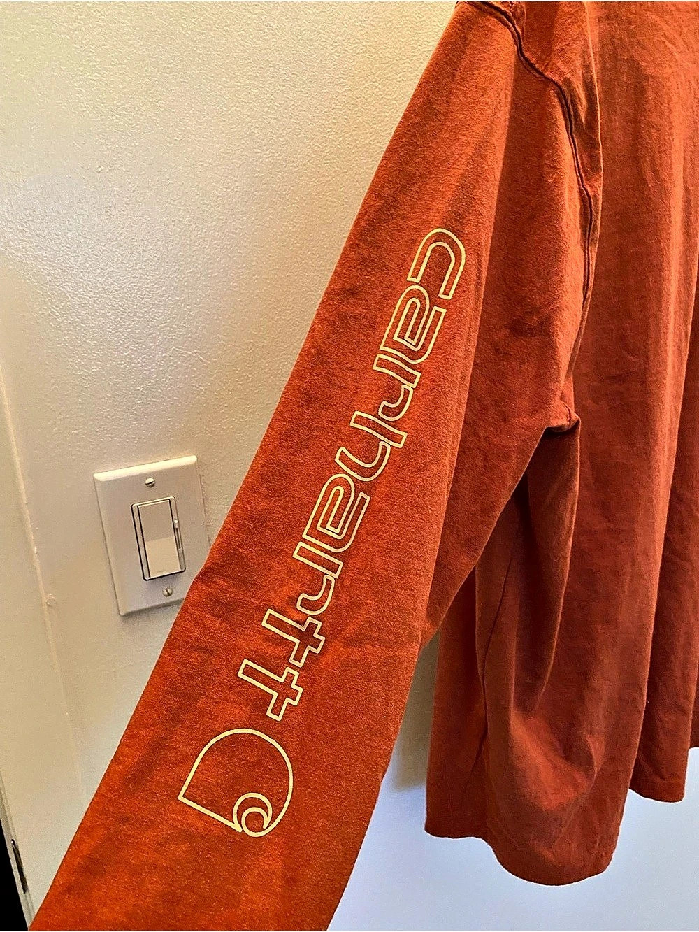 Carhartt Loose Fit Heavyweight Long-Sleeve Graphic Logo Sleeve T-Shirt Tee